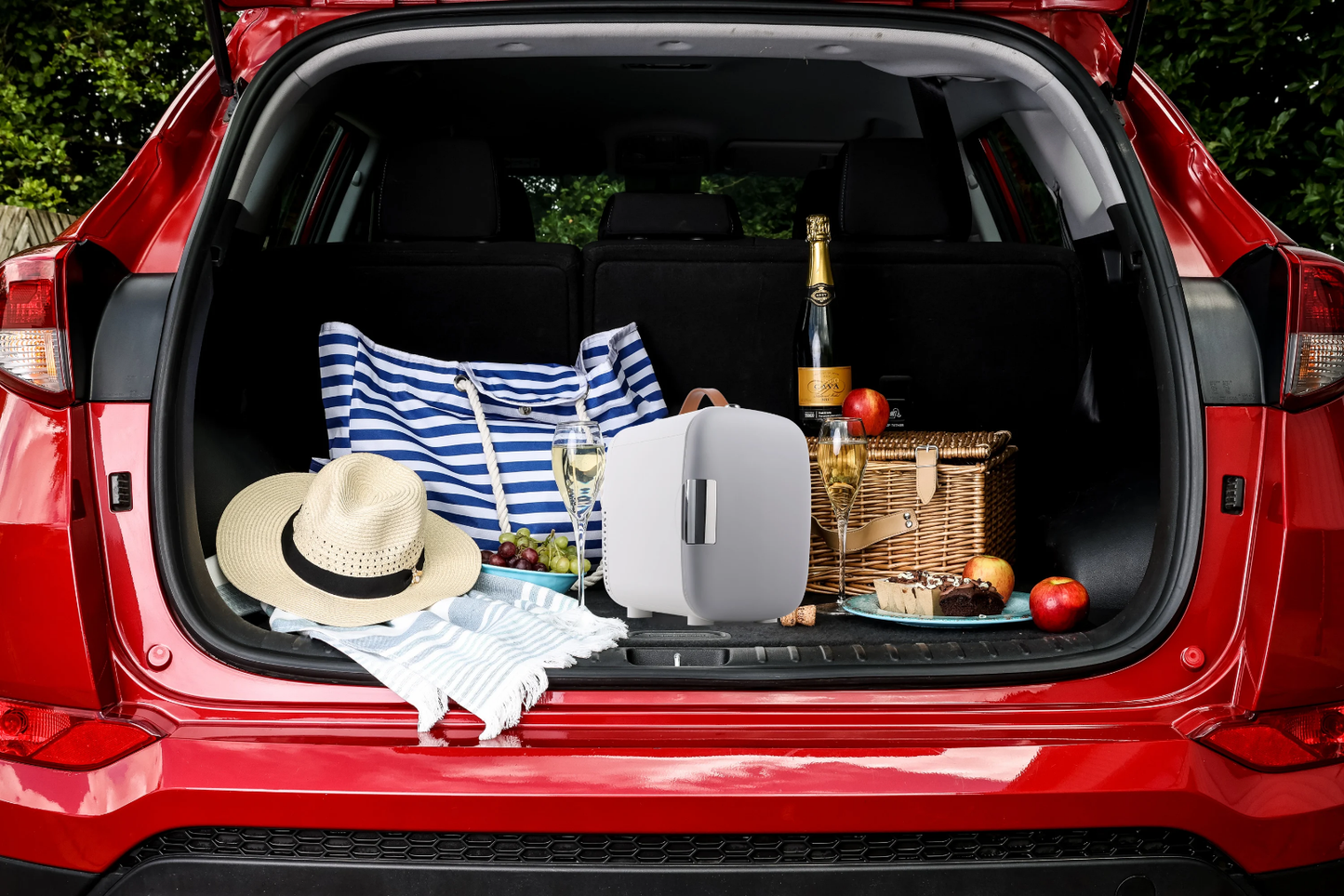 Mini réfrigérateur de voiture et de maison 12v et 220v,chaud et le froid                     ⭐⭐⭐⭐⭐ 4.9